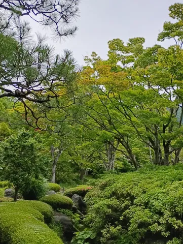 緑萌える静寂の庭園