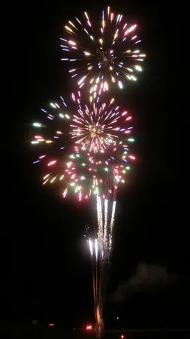 夜空に咲く光の花束