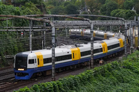 緑を裂く黄と青の列車