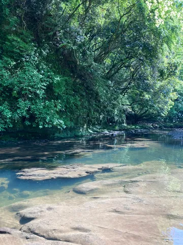 緑滴る渓流、水底の石畳