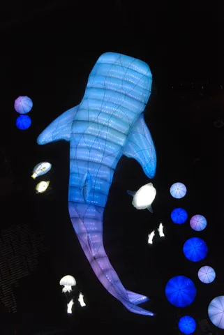 青く輝く海の幻想旅行