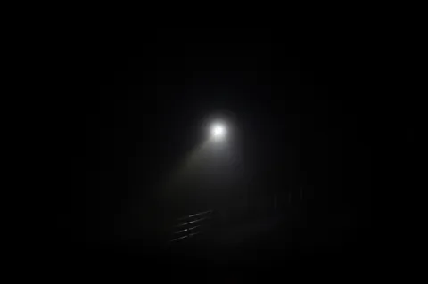 霧の灯りが誘う夜道