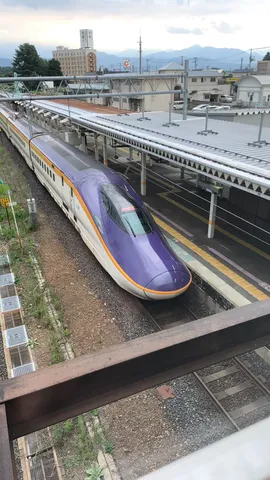 疾走する紫の流線形