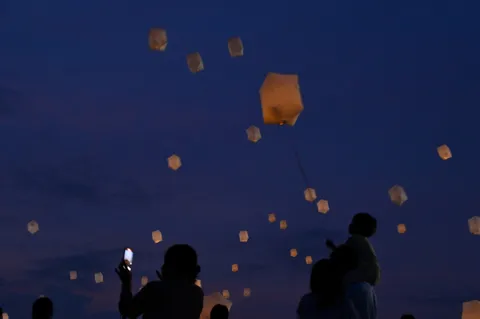 夜空に舞う無数の光