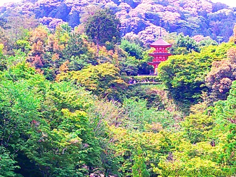 新緑に映える朱色の宝塔