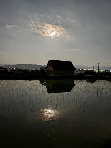 水田に映る月明かりの夜