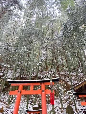 雪化粧の竹林と鳥居、静寂の瞬間