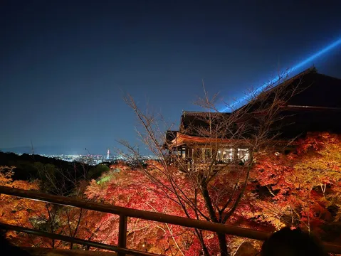 夜空に光る灯りと紅葉