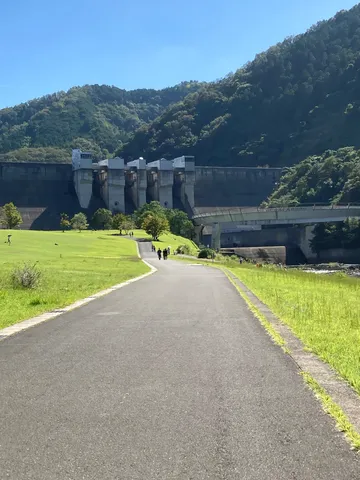 緑とダムのコントラスト