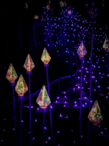 夜を彩る光の結晶