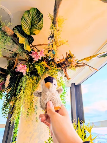 緑と陽光、ペンギンのひととき