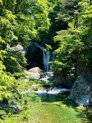 樹影の中の滝と清泉