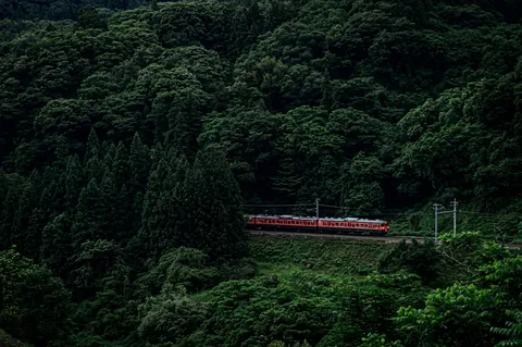 深緑を駆ける列車