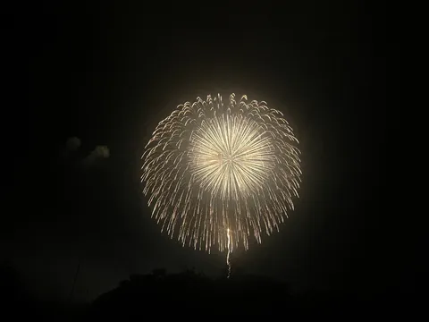 夜空に咲く金色の花