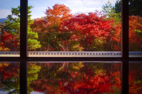 窓辺に映る紅葉のシンフォニー