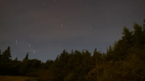 夜の森に流れる星の跡