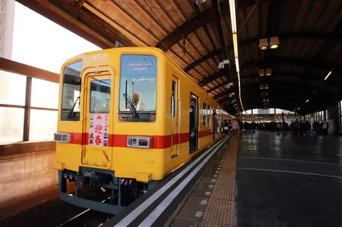 新年彩る黄色い電車