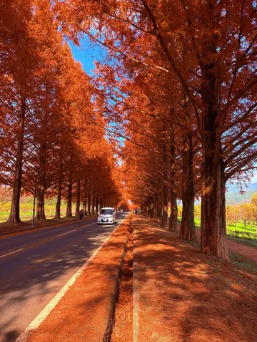 朱色の並木を抜ける道