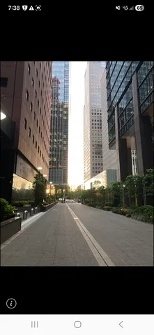 光と影の都会回廊