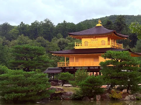 森に浮かぶ黄金の静けさ