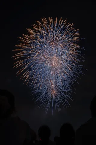 夜空を彩る光の芸術