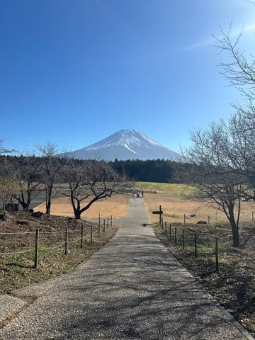 富士山と続く小道