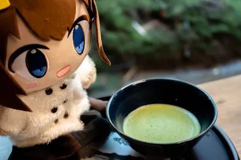 ぬいぐるみと抹茶のひととき