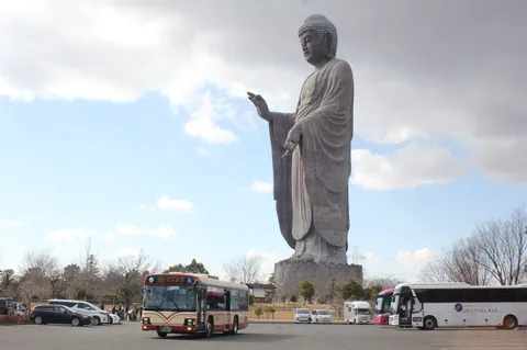 巨大仏と観光バスの出会い