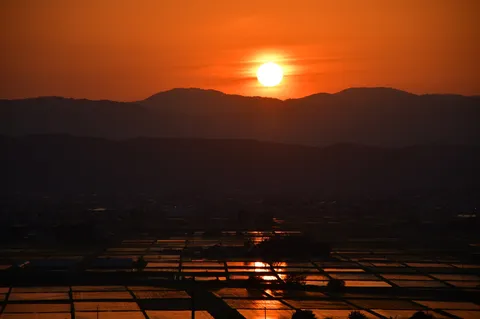 夕闇に染まる棚田の静寂