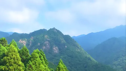 緑深き山の卷积