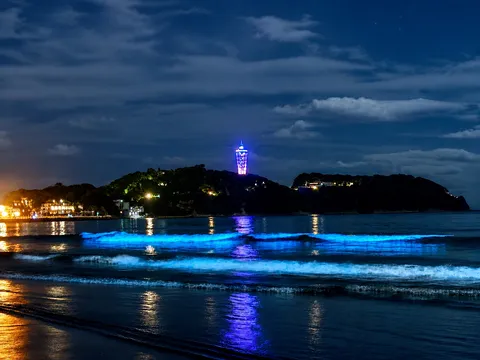 夜光る海と灯台の幻想的な夜景