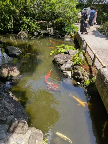 水辺の金魚と静かな時間
