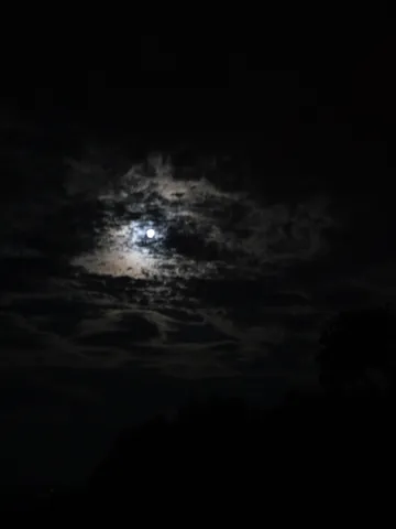 夜空を彩る雲と月