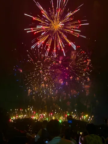 夜空に花開く光の音
