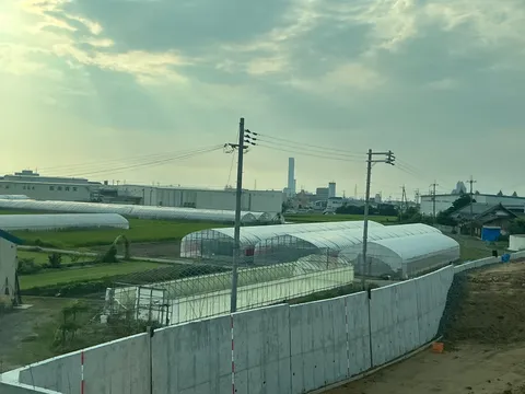 夕暮れの温室と電線群