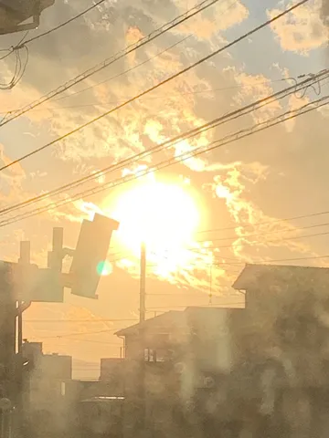 電線と太陽のコントラスト