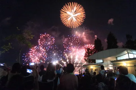 夜空を彩る光の花束