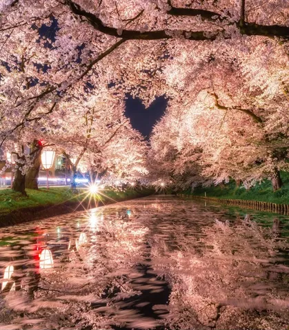 夜空に咲いたハートの桜