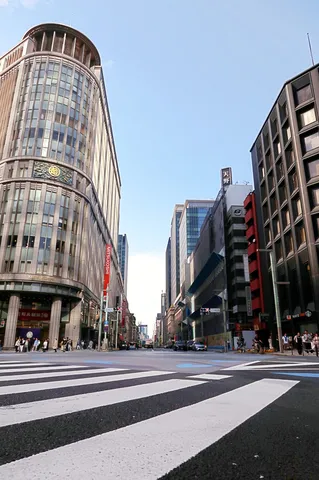 見上げる街路の光景