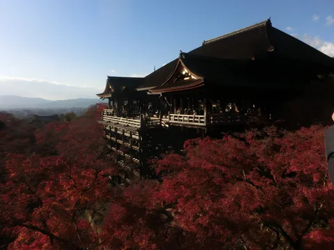 錦秋に染まる古刹の舞台