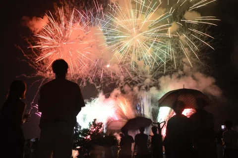 夜空を彩る花火と観客たち
