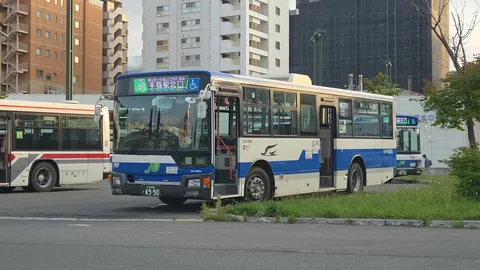 バス停、日常の風景