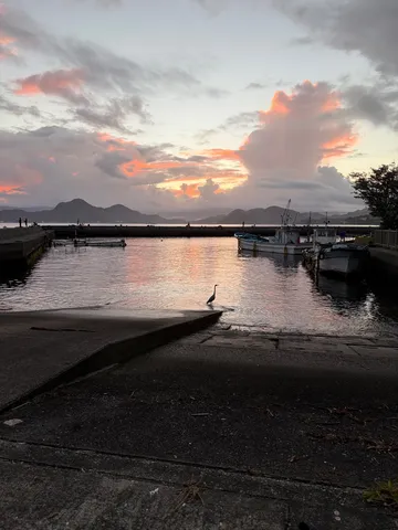 夕暮れの漁港、水鳥のシルエット