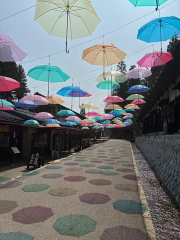 空と地上を彩る傘並木