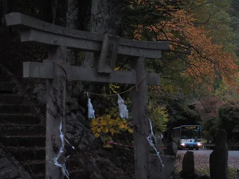 古の道標、バスは時を運ぶ