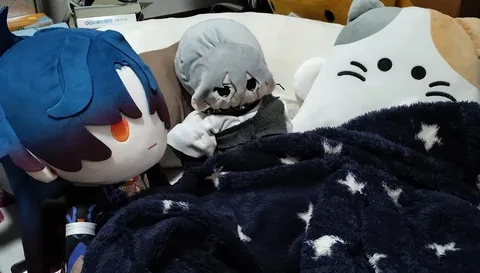 毛布にくるまる仲間たち