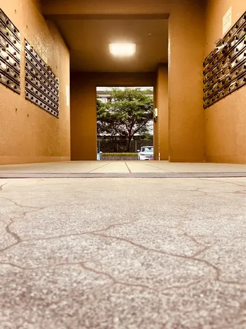緑への回廊