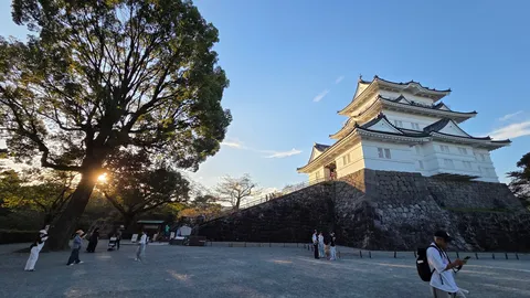 夕暮れの城と木陰