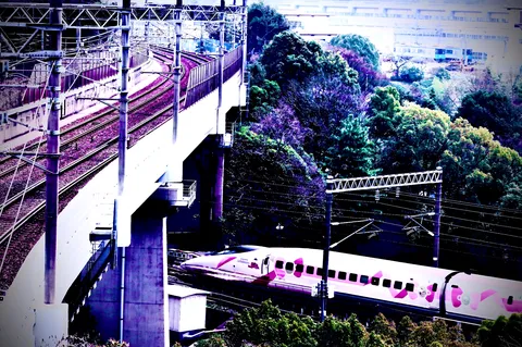 紫景の中を駆ける夢の列車