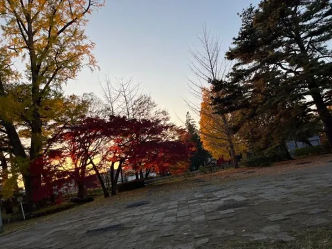 燃える秋色、空へのグラデーション